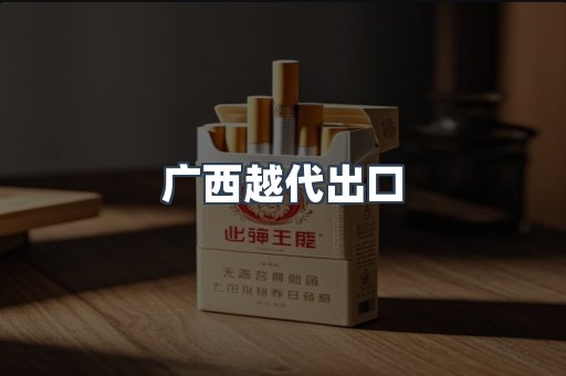广西越代出口